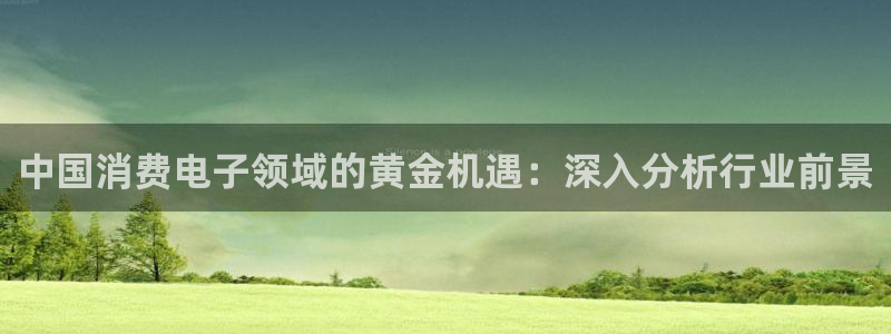 凯发天生赢家一触即发官网|中国消费电子领域的黄金机遇：深入分析行业前景