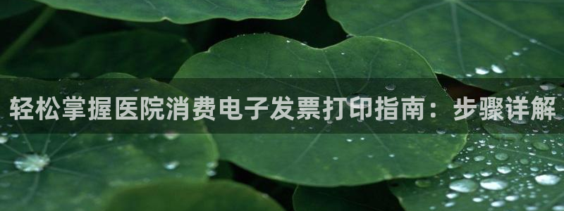 AG凯发|轻松掌握医院消费电子发票打印指南：步骤详解